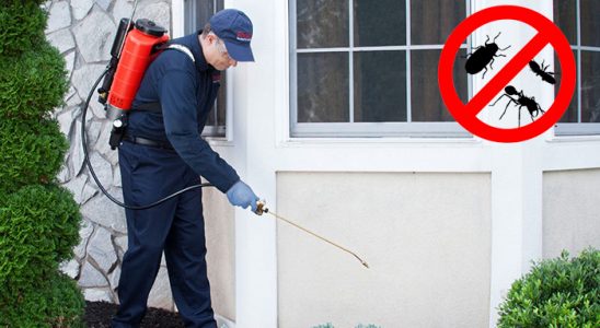 Selçuklu Bit İlaçlama böcek ilaçlama ve haşere kontrolü — ilaclama-tr.com